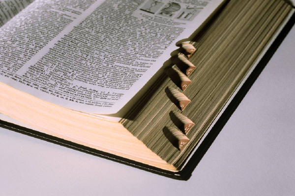 Bibliographie LGBT au Québec