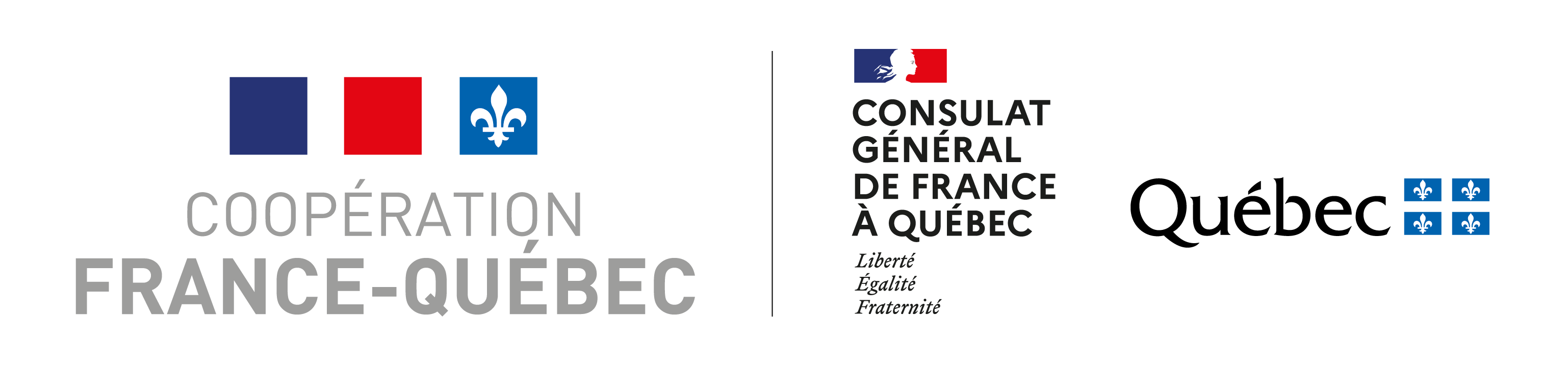 Archives gaies du Québec - Mémoires de nos communautés